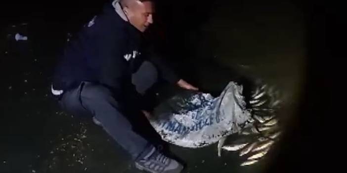 Van'da kaçak avcılara geçit yok! Yüzlerce balık ele geçirildi