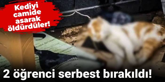 Kediyi camide asarak öldürdüler! 2 öğrenci serbest bırakıldı