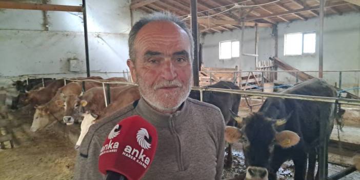Artvinli hayvan üreticisi: Kurbanlıklar var ama alıcı yok