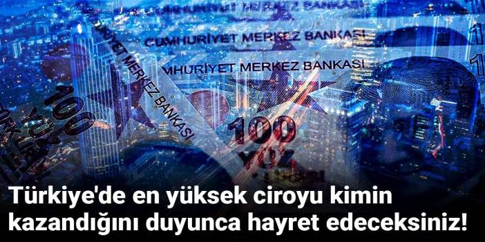 Türkiye'de en yüksek ciroyu kimin kazandığını duyunca hayret edeceksiniz!