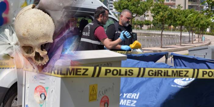 Çöpte bulunan kafatasının ardındaki gerçek ortaya çıktı: Temizlik yapan eşi atmış