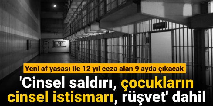 Yeni af yasası ile 12 yıl ceza alan 9 ayda çıkacak: 'Cinsel saldırı, çocukların cinsel istismarı, rüşvet' dahil