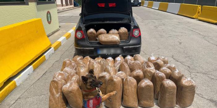 Mersin'de kaçak tütün operasyonu: Yüz binlerce makaron ele geçirildi