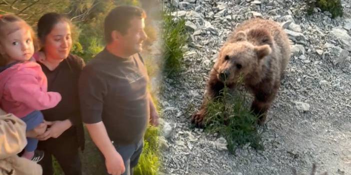 Ayıseverler sahile akın etti