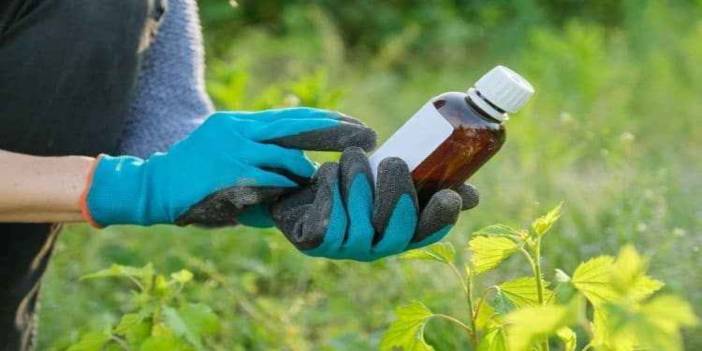 Tarım ilacı içen kadına müdahaleye gittiler: 3 sağlıkçı tedavi altına alındı