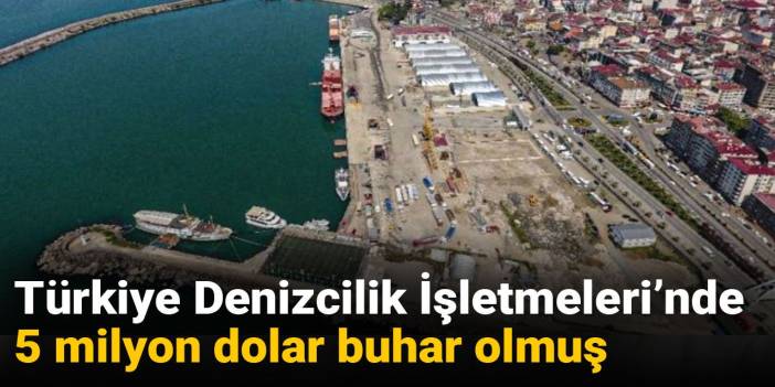 Özelleştirmeden sonra ‘faaliyet dışı gelir’ oyunu: Türkiye Denizcilik İşletmeleri’nde 5 milyon dolar buhar olmuş