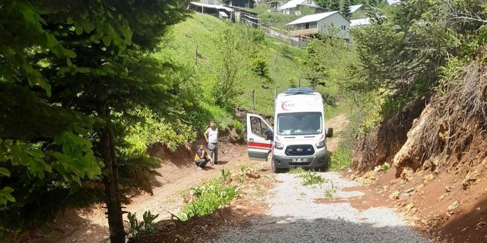 Kamyonet şarampole yuvarlandı: Sürücü öldü, eşi ağır yaralandı