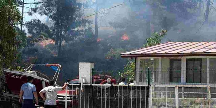 Marmaris'te orman yangını! 2 hektarlık alan kül oldu