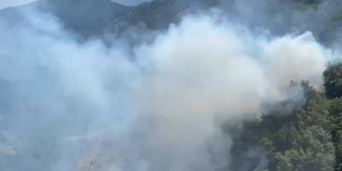 Marmaris'te orman yangını kontrol altına alındı