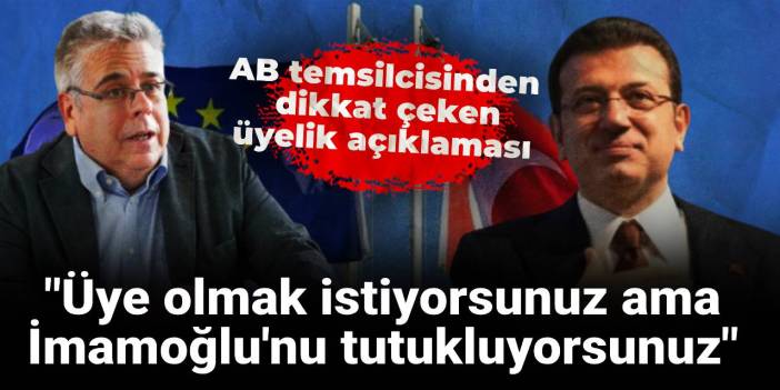 AB temsilcisinden dikkat çeken üyelik açıklaması: Üye olmak istiyorsunuz ama İmamoğlu'nu tutukluyorsunuz
