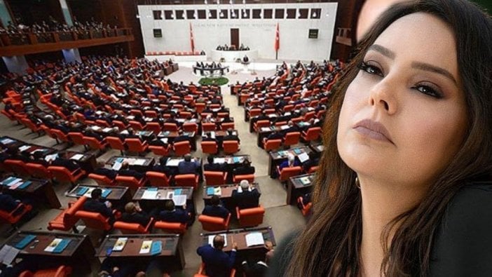 Meclis'te VIP tartışması! İYİ Partililer sordu ''Gündeş nasıl VIP’ten geçiyor?'' 