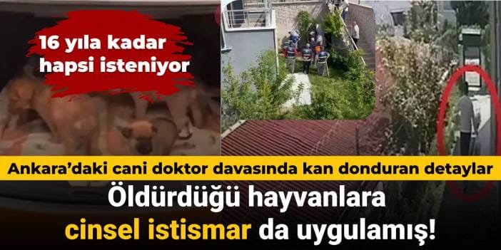 Ankara’daki cani doktor davasında kan donduran detaylar: Öldürdüğü hayvanlara cinsel istismar da uygulamış
