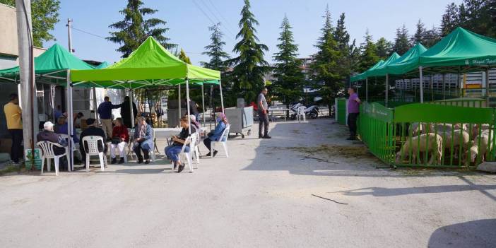 Kurbanlıklar ihtiyaç sahipleri için kesildi