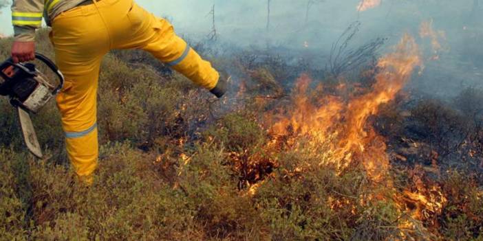 İzmir Seferihisar'da yangın! Hem karadan hem havadan müdahale