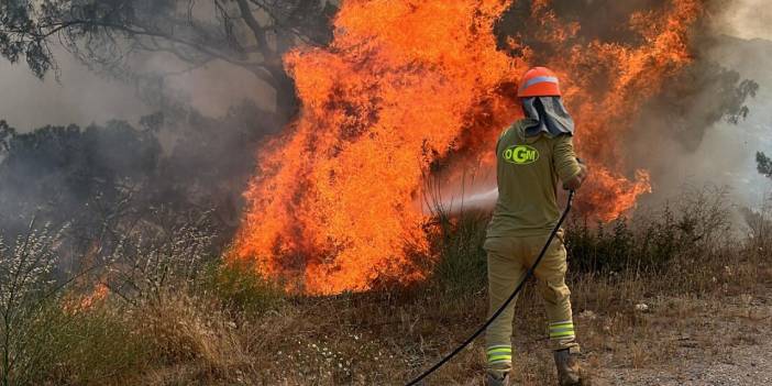 Muğla'da orman yangını: 2 hektarlık alan zarar gördü