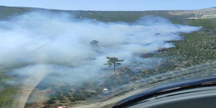 Manisa'da korkutan orman yangını