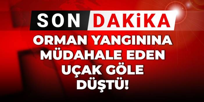 Son Dakika | Orman yangınına müdahale eden uçak göle düştü!