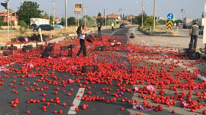 Karayolu domates tarlasına döndü! Vatandaş birbiriyle yarıştı