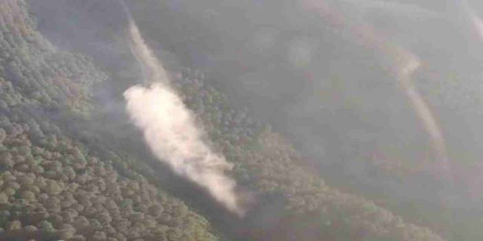 Balıkesir'deki orman yangınında ikinci gün: 5 gözaltı