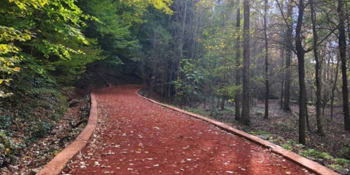 İstanbullular dikkat! Yaz boyu bunları yapmak artık yasak