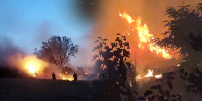 Attıkları havai fişekler yangın çıkardı: Vatandaş isyan etti!