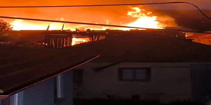 Köyde çıkan yangın evleri kullanılamaz hale getirdi