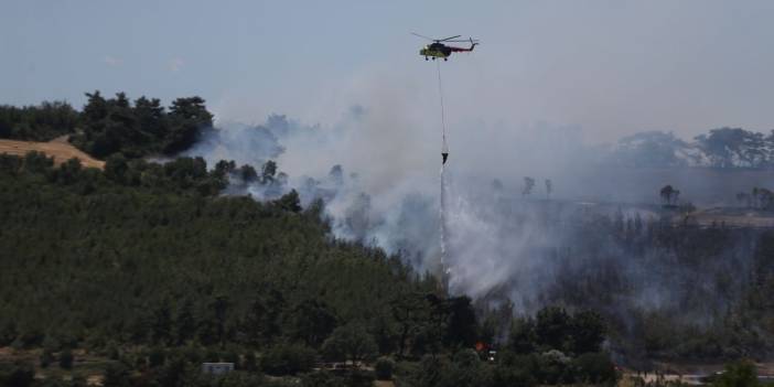 Çanakkale’de tarım arazisinde çıkan yangın ormana sıçradı