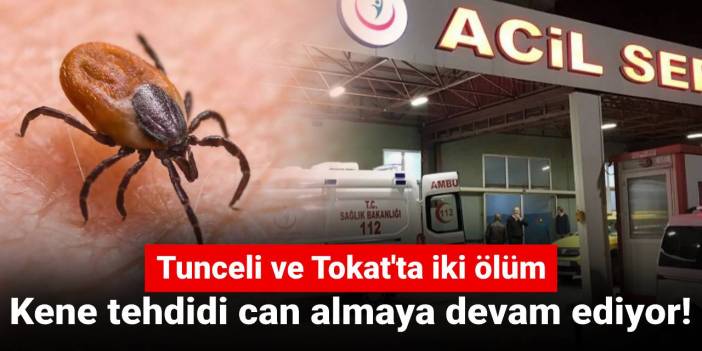Kene tehdidi can almaya devam ediyor! Tunceli ve Tokat'ta iki ölüm
