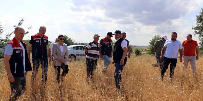 Dolu Edirne'yi vurdu: Tek gecede 10 bin dekarlık zarar!