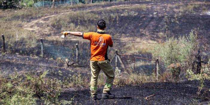 Yerleşim yerlerine tehdit oluşturan yangın Bursa’da kontrol altına alındı