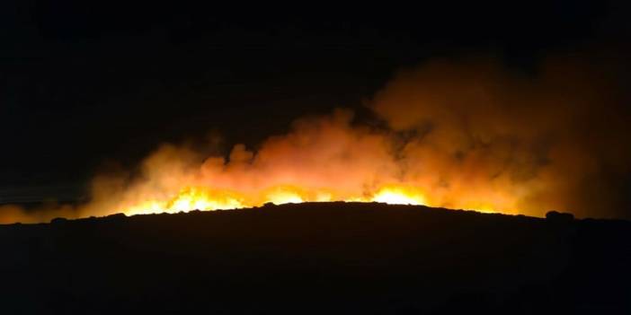 İzmir'deki otluk yangını sürüyor: Rüzgârla şiddeti arttı