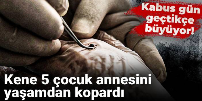 Kabus gün geçtikçe büyüyor! Kene 5 çocuk annesini yaşamdan kopardı
