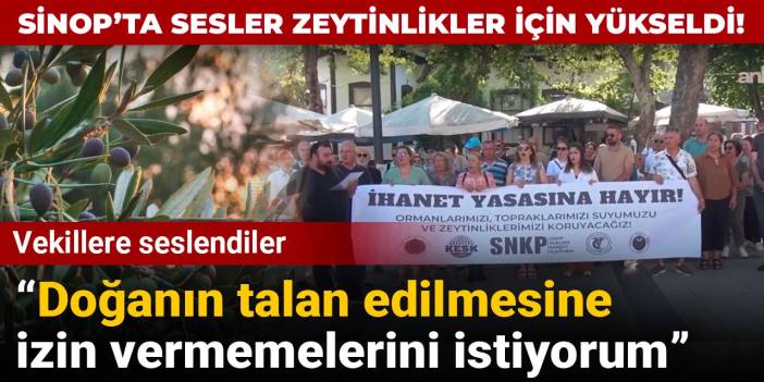 Sesler zeytinlikler için yükseldi! Vekillere seslendiler: Doğanın talan edilmesine izin vermemelerini istiyorum