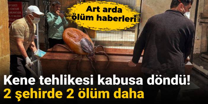 Kene tehlikesi kabusa döndü! 2 şehirde 2 ölüm daha