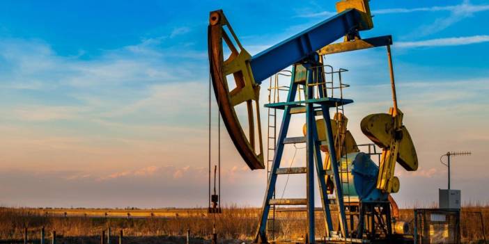 8 ülkeden petrol kararı