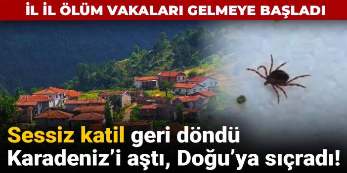 Sessiz katil geri döndü, Karadeniz'i aştı, Doğu'ya sıçradı! İl il ölüm vakaları gelmeye başladı