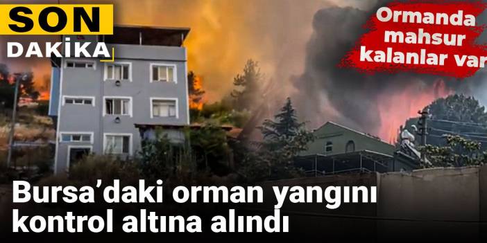 Son dakika | Bursa’daki orman yangını kontrol altına alındı!