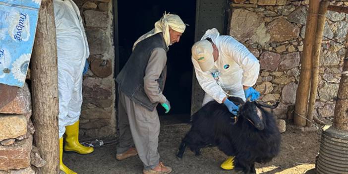Kapı kapı dolaştılar, hastalığı bitirdiler: Hakkari’de örnek mücadele