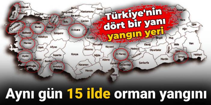 Aynı gün 15 ilde orman yangını: Türkiye'nin dört bir yanı yangın yeri