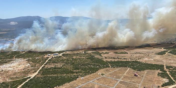 Aydın'da bir hafta sonra yine yangın