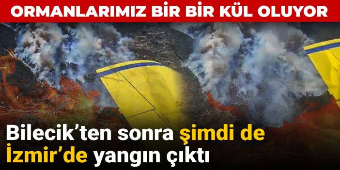 İzmir'de de ormanlık alanlar alevlere teslim oldu!