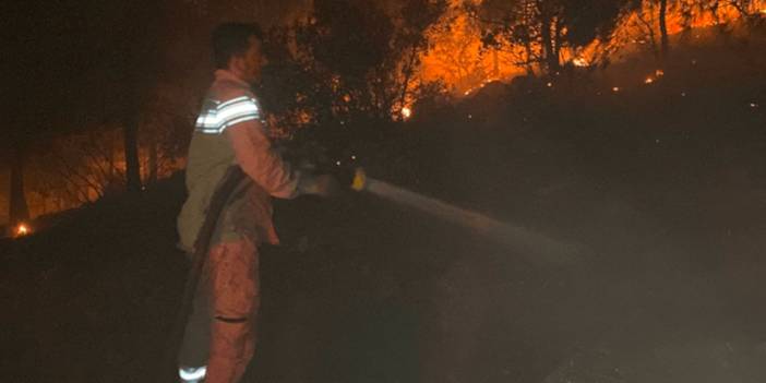 Kahramanmaraş'ta ormanı yaktılar: Söndürmek 12 saat sürdü