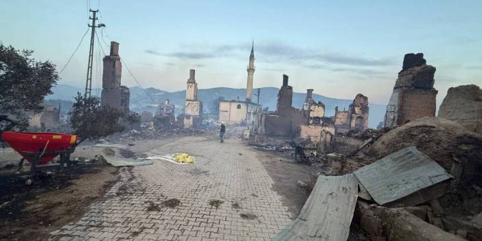 Bilecik'teki orman yangınında bir mahalle kül oldu