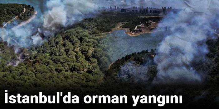 İstanbul'da orman yangını