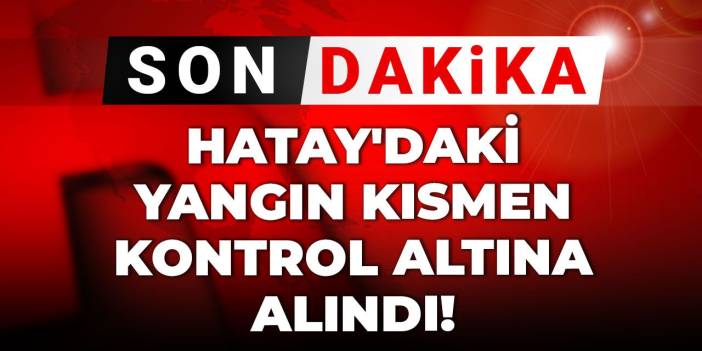 Son Dakika | Hatay'daki yangın kısmen kontrol altına alındı