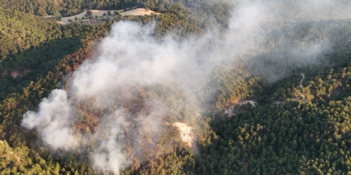 Bolu'da orman yangını: Yangına havadan ve karadan müdahale sürüyor