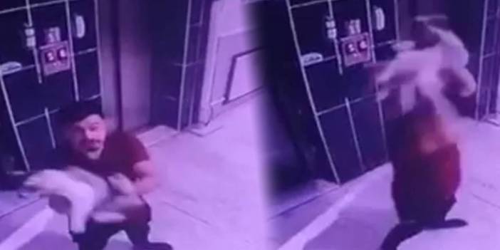 Hamile kediyi kameraya gösterip yere fırlattı!