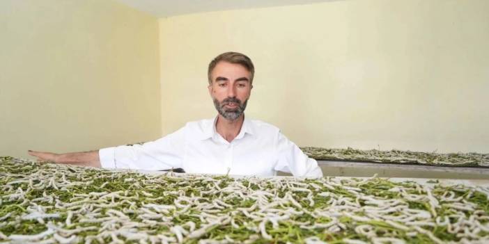 Bir yaprak bir böcek Koç'a servet kazandırdı: Dalga geçenler kazanca inanamadı