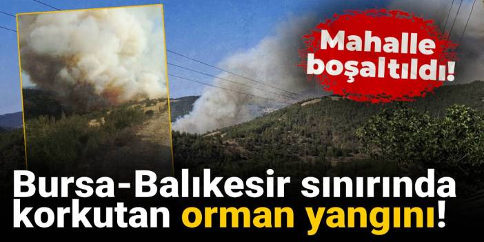 Bursa-Balıkesir sınırında korkutan orman yangını! Mahalle boşaltıldı!