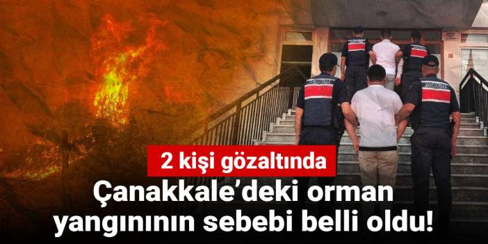 Çanakkale’deki orman yangınının sebebi belli oldu! 2 kişi gözaltında